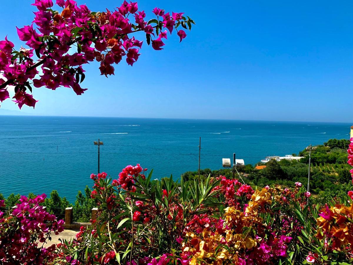 شقة La Finestra Sul Duomo, Amalfi Coast Vietri المظهر الخارجي الصورة